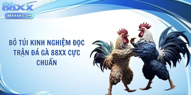 Bỏ túi kinh nghiệm đọc trận đá gà 88XX cực chuẩn