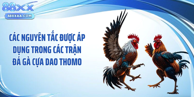 Các nguyên tắc được áp dụng trong các trận đá gà cựa dao thomo