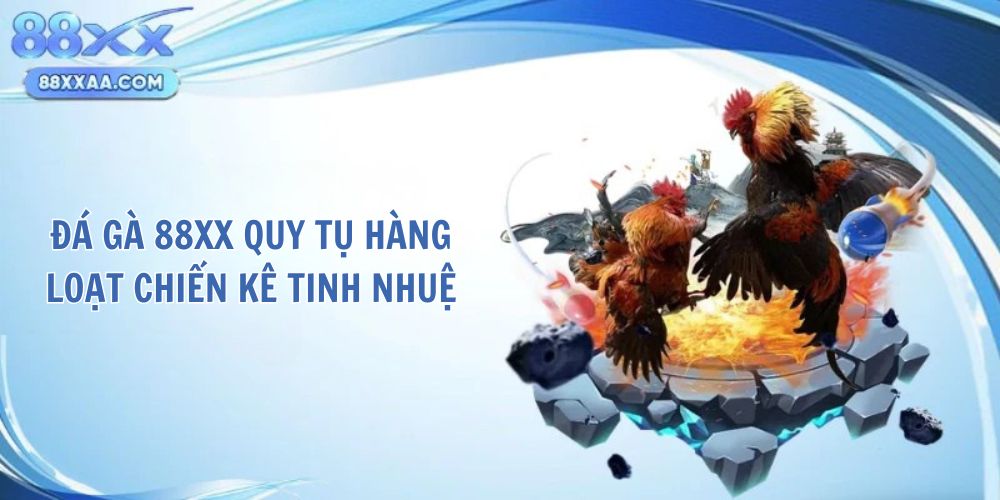Đá gà 88XX quy tụ hàng loạt chiến kê tinh nhuệ