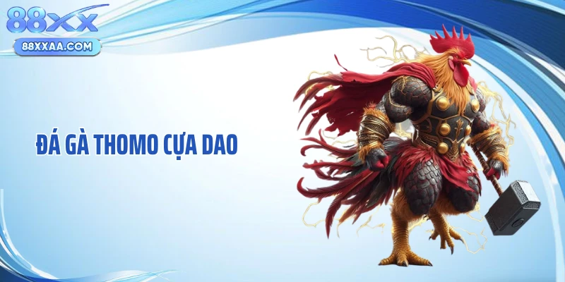 Đá Gà Thomo Cựa Dao: Những Màn Hạ Đo Ván Chỉ Vài Giây