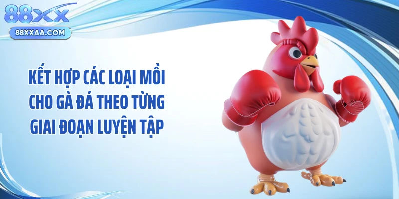 Kết hợp các loại mồi cho gà đá theo từng giai đoạn luyện tập