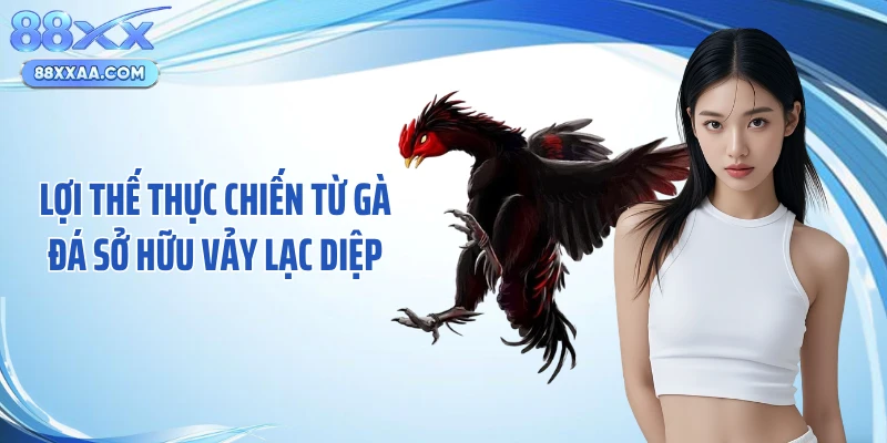 Lợi thế thực chiến từ gà đá sở hữu vảy lạc diệp