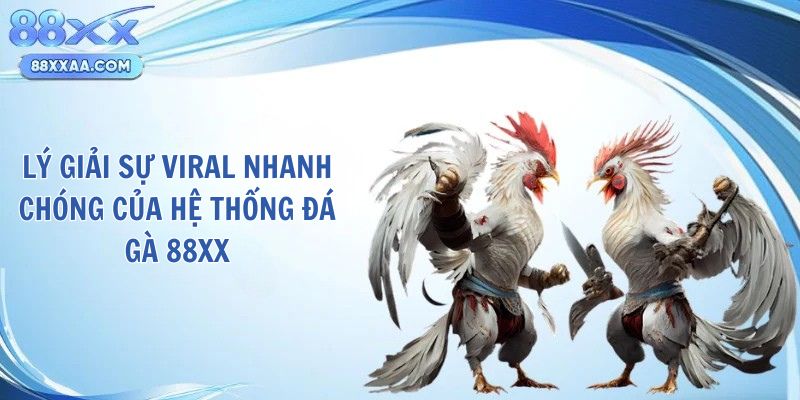 Lý giải sự viral nhanh chóng của hệ thống đá gà 88XX