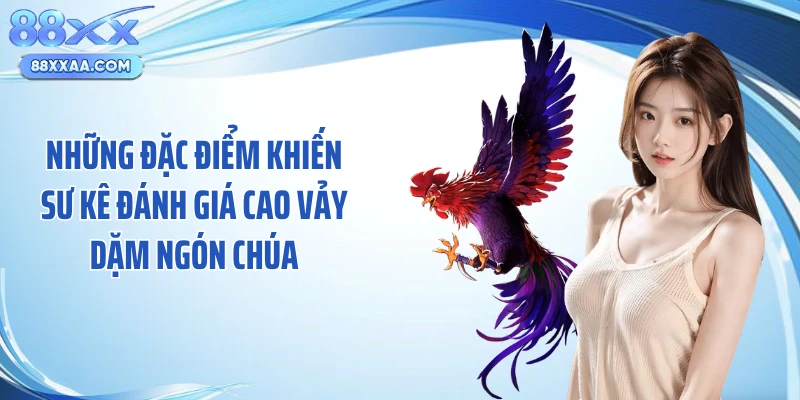 Những đặc điểm khiến sư kê đánh giá cao vảy dặm ngón chúa