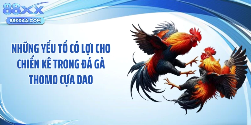 Những yếu tố có lợi cho chiến kê trong đá gà thomo cựa dao