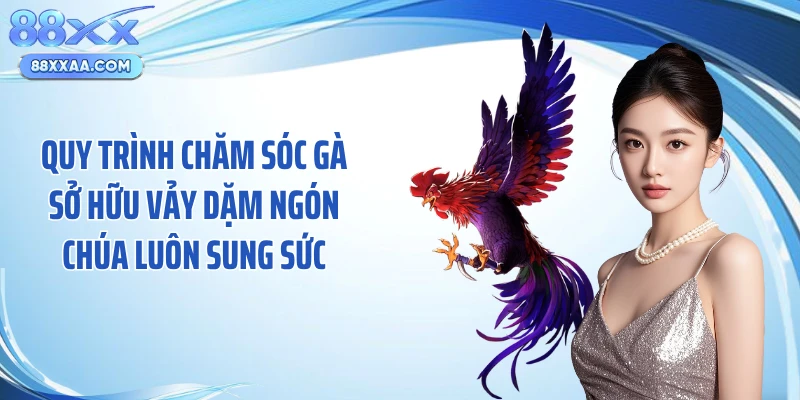Quy trình chăm sóc gà sở hữu vảy dặm ngón chúa luôn sung sức